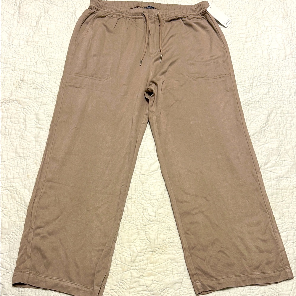 Splendid Men's Brown Joggers